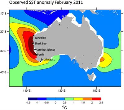 What Can We Learn From the 2010/11 Western Australian Marine Heatwave to Better Understand Risks From the One Forecast in 2020/21?